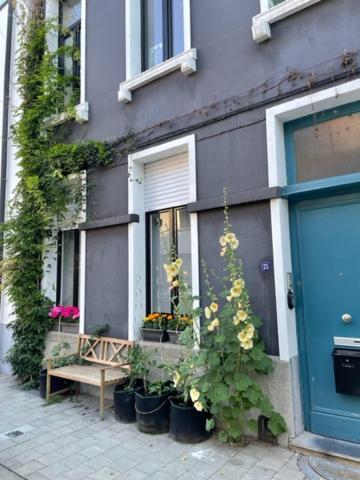 Studio Dageraad Anvers Extérieur photo